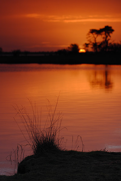 Sonnenaufgang am Greifswalder Bodden, Gristow, Mecklenburg-Vorpommern, Deutschland, Europa