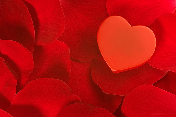 Rotes Herz auf Rosenblttern