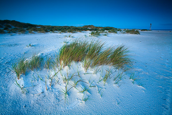 Abend am Strand, Dueodde, Bornholm, D�nemark, Europa