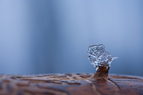 Eiskristall