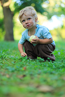 Im Obstgarten