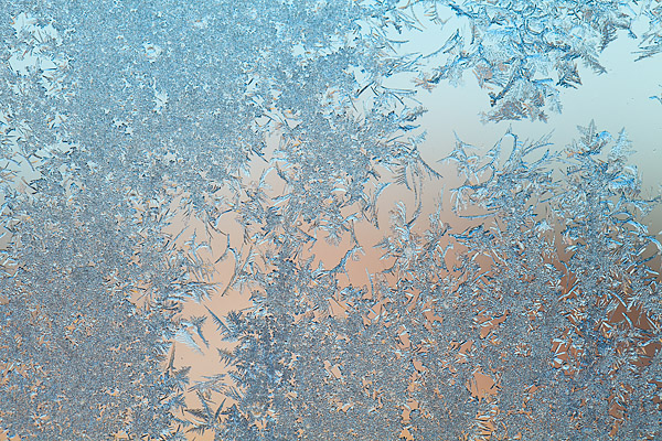 Eisblumen am Fenster