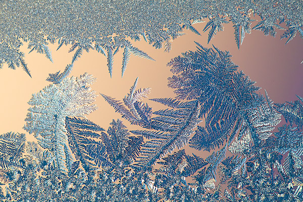 Eisblumen am Fenster