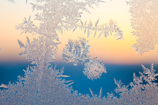 Eisblumen am Fenster