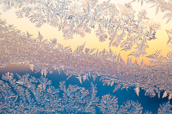 Eisblumen am Fenster