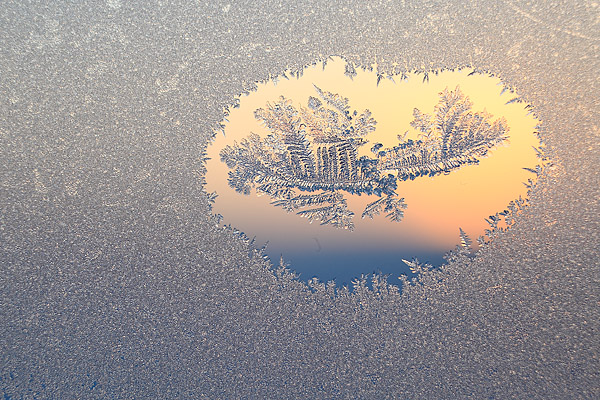 Eisblumen am Fenster