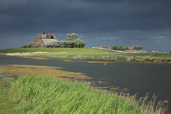 Kirchwarft, Hallig Hooge, Nordsee, Schleswig-Holstein, Deutschland