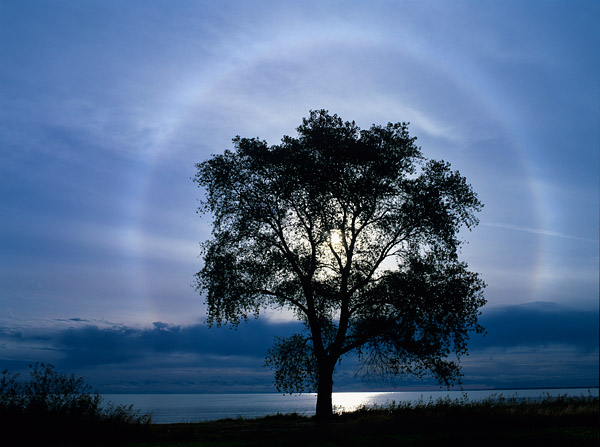 Heiligenschein - 22 Halo - Sonnenring, Zudar, Rgen, Mecklenburg-Vorpommern, Deutschland