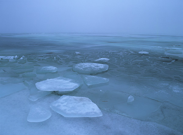 Brucheis, Kste Greifswalder Bodden, Rgen, Mrz 2003